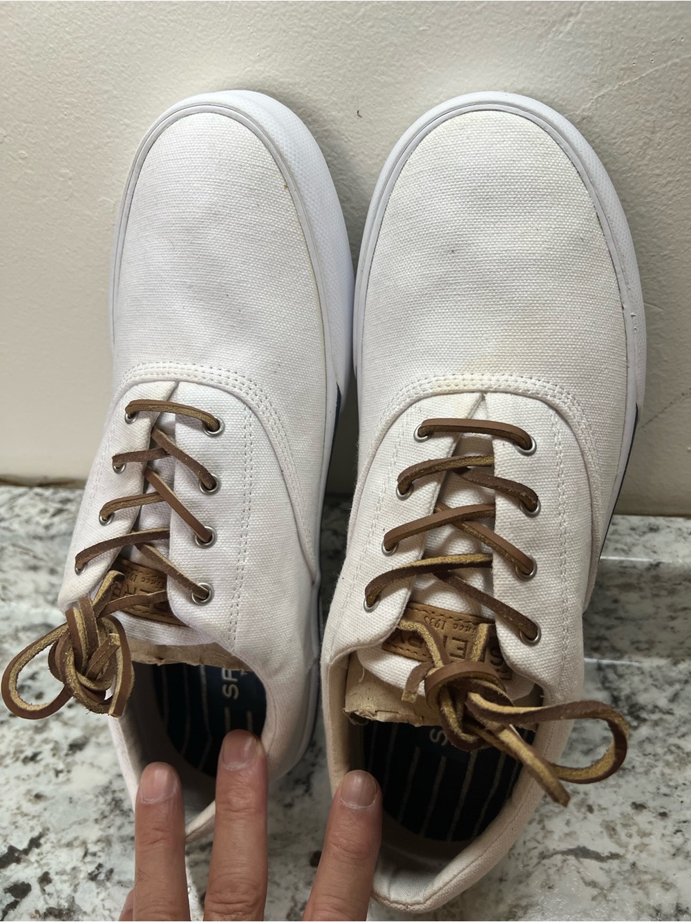 Sperry White Canvas Sneakers with saddle leatherBrown Laces